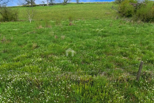 Terrain en vente à Yvoir
